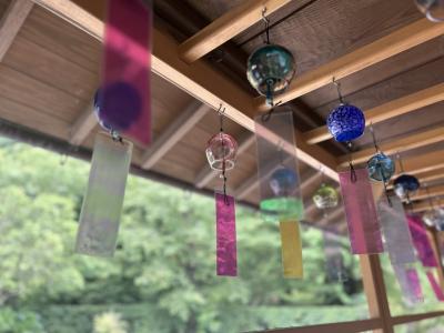 2泊3日 桜島・鹿児島・指宿旅行①【1日目前半】