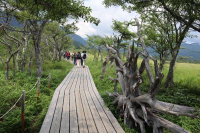 茨城・栃木の旅・・戦場ヶ原の自然研究路を散策します。