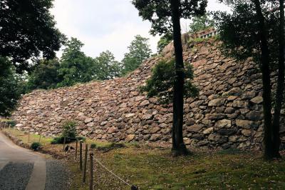 茨城・栃木の旅・・続日本百名城の唐沢山城跡を訪ねます。
