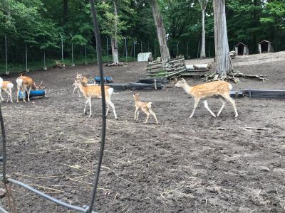 都会に近くてちょうど良い田舎を訪ねる 安平町 厚真町 由仁町