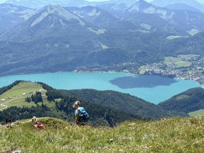 映画サウンドオブミュージックの世界へ！①/2025.6/エーゲ海とオーストリア3週間(11)