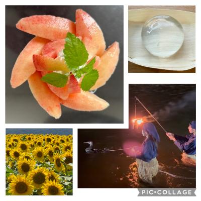 2025年　山梨 夏遊び＆夏グルメ～鵜飼と明野ひまわり、ぷるるん水信玄餅と桃パフェ～