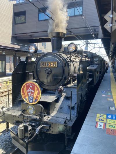 日光線開業135周年記念イベント参加で予想外の日帰りに！