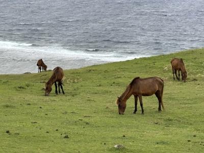 与那国島に行ってみた①