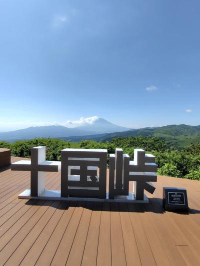 十国峠と周辺へ行ってきました