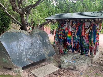 竹原二泊と大久野島