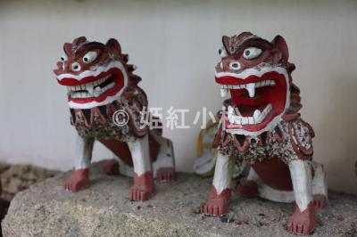 沖縄県(那覇市・西表島・石垣島)めぐる旅 (西表島から石垣島)2025/04/18