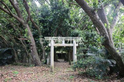 沖縄県(那覇市・西表島・石垣島)めぐる旅 (石垣島)2025/04/19