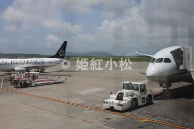沖縄県(那覇市・西表島・石垣島)めぐる旅 (南ぬ島石垣空港から機内)2025/04/22