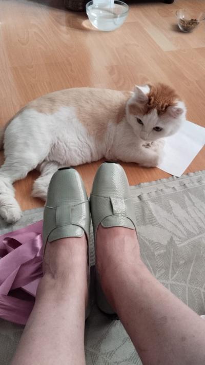 帰国後の贈りもの