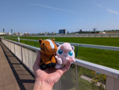 どこかにビューーン!で行く、函館競馬と青森の旅(板橋旅プリンシリーズ-7)