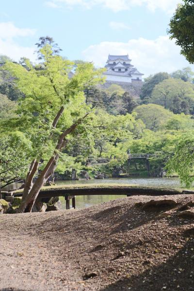 彦根城へいざ参らん