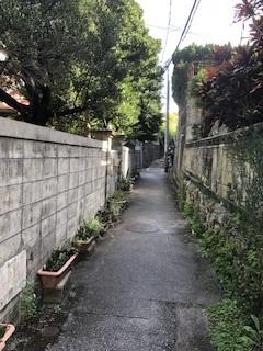 ありんくりん沖縄　すーじぐゎーを行く那覇