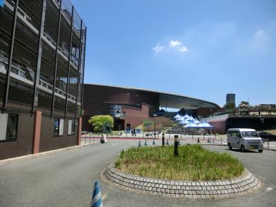 祝！海響館が帰ってきた　海響館リニューアル初日レポ