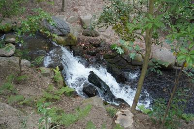 2025春 岡山 その3