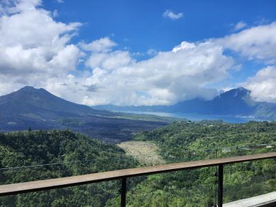 バリ島の夏休み。２日目はカーチャーターで観光