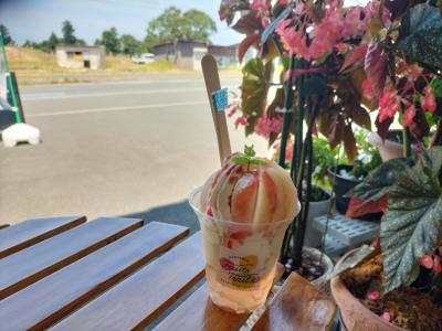 2025今年も久美浜にフルーツ求めて