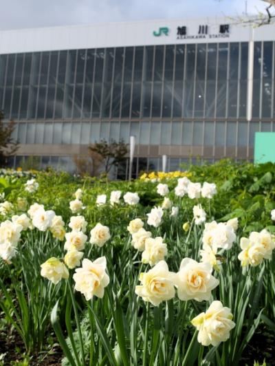 旭川のカフェと春のガーデン巡り