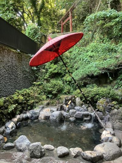 山歩'24夏 大山~日向薬師~七沢温泉