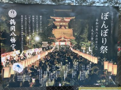 鎌倉'24夏 ぼんぼり祭り