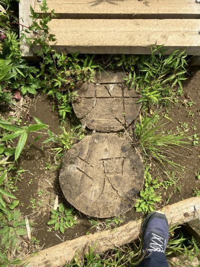 山歩'24夏 大倉⇔蛭ヶ岳