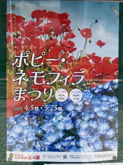 くりはま花の国~野比海岸 '25春