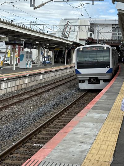 首都圏一周ポケモンスタンプラリー全駅制覇鉄道旅