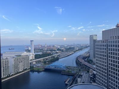 【宿泊体験記】ANAホリデイ・イン東京ベイとThe Library Loungeで締めくくる空港までの贅沢時間