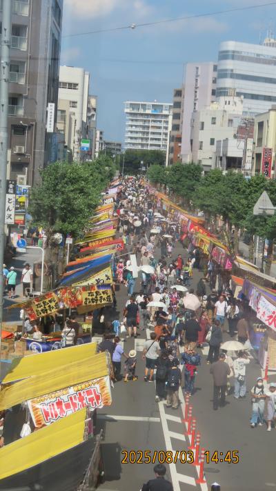 上福岡七夕祭りを見て歩く