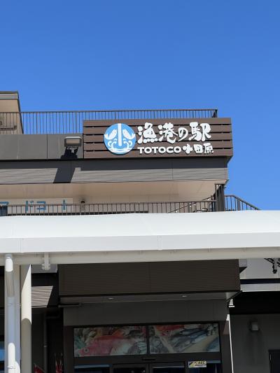 小田原漁港の駅