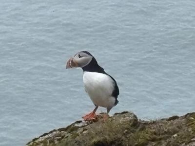 アイスランドとフィンランド旅行⑤