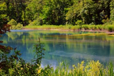 夏の会津、裏磐梯の旅　2