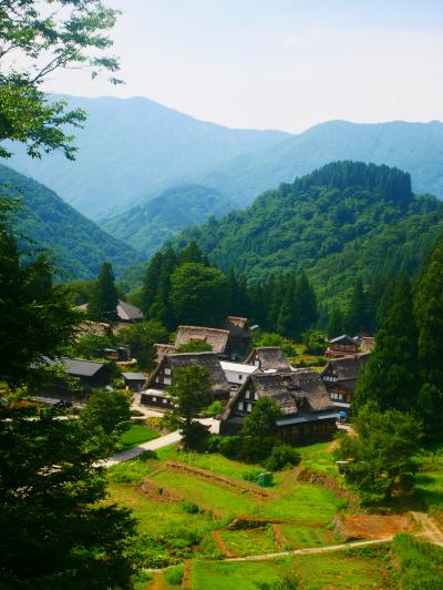 go か やめ(ま) たほうがいいか