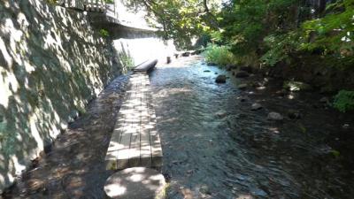 散歩・源兵衛川沿いを歩く 2025.08.02