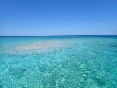 2025年うりずん八重山ひとり旅 ｰ 鳩間近海でシュノーケリング ｰ