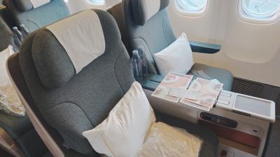 CX521(NRT-HKG)ビジネスクラス機内食