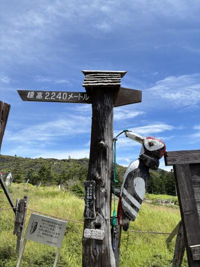 北八ヶ岳ロープーウェイで北横岳