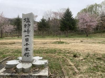 花たびそうやが直前に運休になり、春の宗谷本線沿線を巡った記録