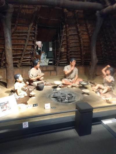 旅行体験記2025~和泉~3連休特別企画!博物館、美術館で大阪を楽しめる方法再発見!