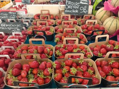 2025.5 南フランス 芸術家が愛した町 ５話 アンチーブに到着したら土砂降りでした