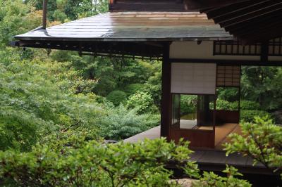 京都の「夏」推し!