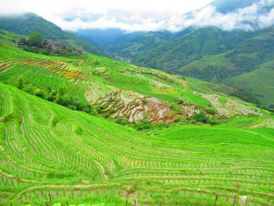 やっとビザ免除の中国へ　桂林・陽朔・龍勝 ５日間ツアー　③龍勝棚田