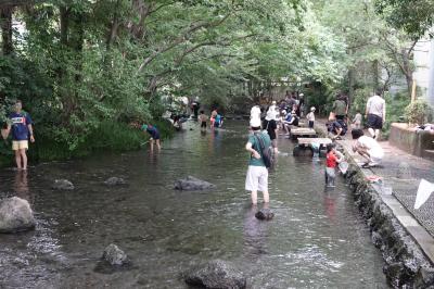 【みしまっぷ】三島散歩2025　(源兵衛川は子供にとって楽園かな)