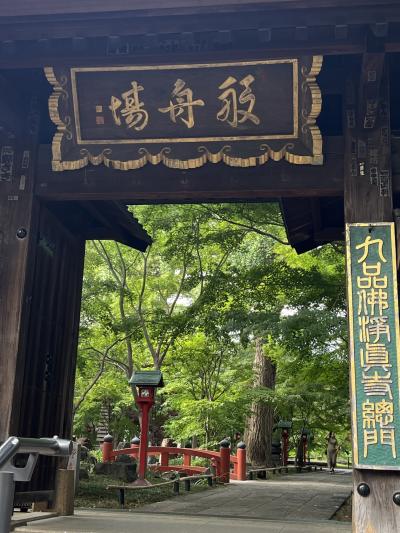 東京のアフロ仏像に会いに九品仏浄真寺に御朱印散歩