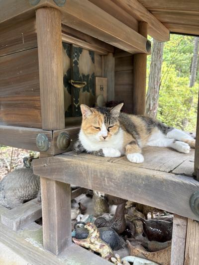 2025年8月　愛知県　日帰り　1/2 定光寺駅～尾張瀬戸駅ウォーキング