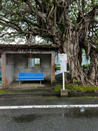 三たび奄美大島