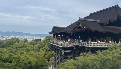 弾丸！高速バスで行く京都・滋賀旅行