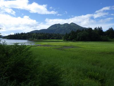 尾瀬沼、ふたたび