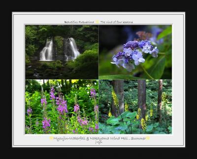 ◆猛暑の候~束の間の涼を求めて、花咲く明神滝(天栄村)&花咲く中山風穴(下郷町)