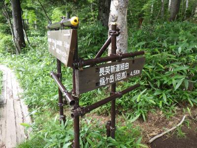 燧ケ岳、ふたたび